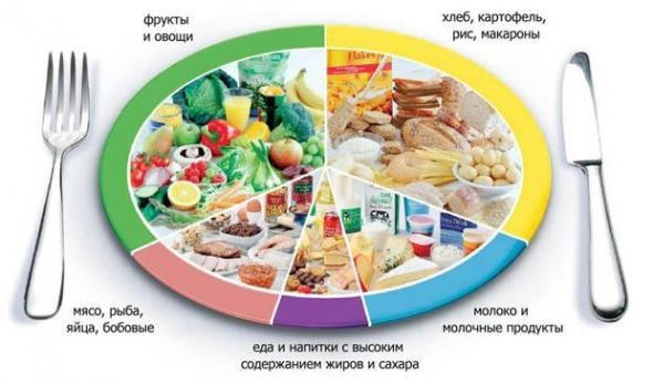 Информация об условиях питания обучающихся.